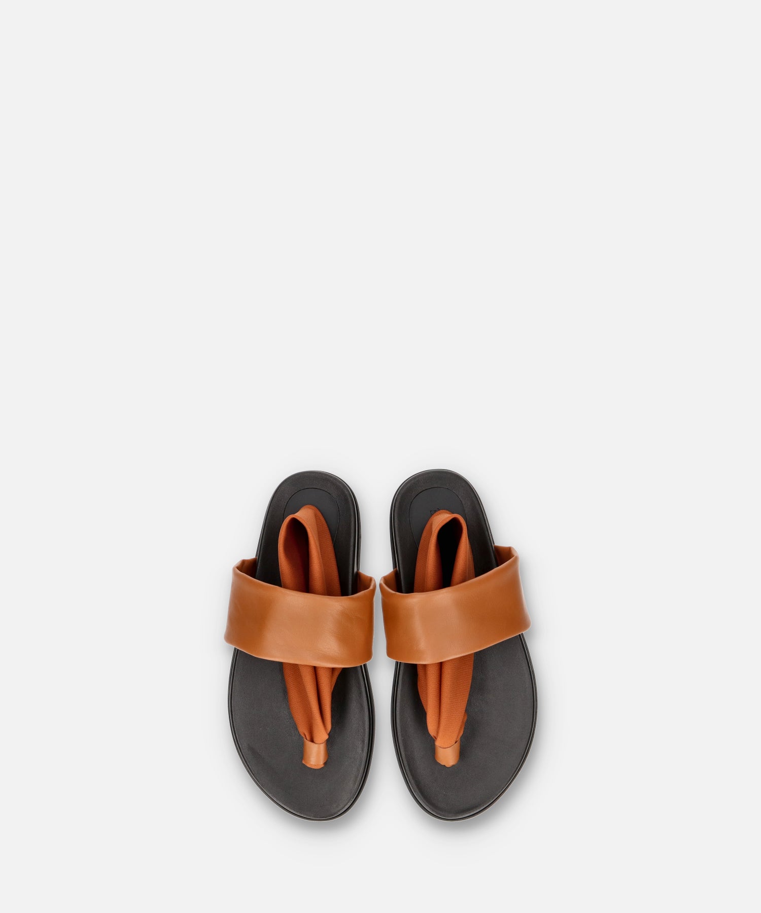 SP-1706 Camel - SPINGLE