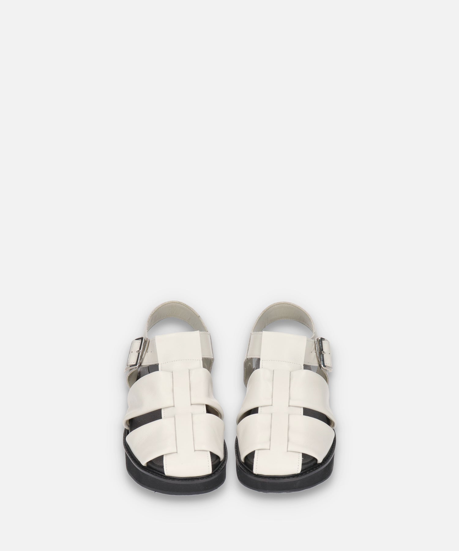 SP-1713 Ivory - SPINGLE