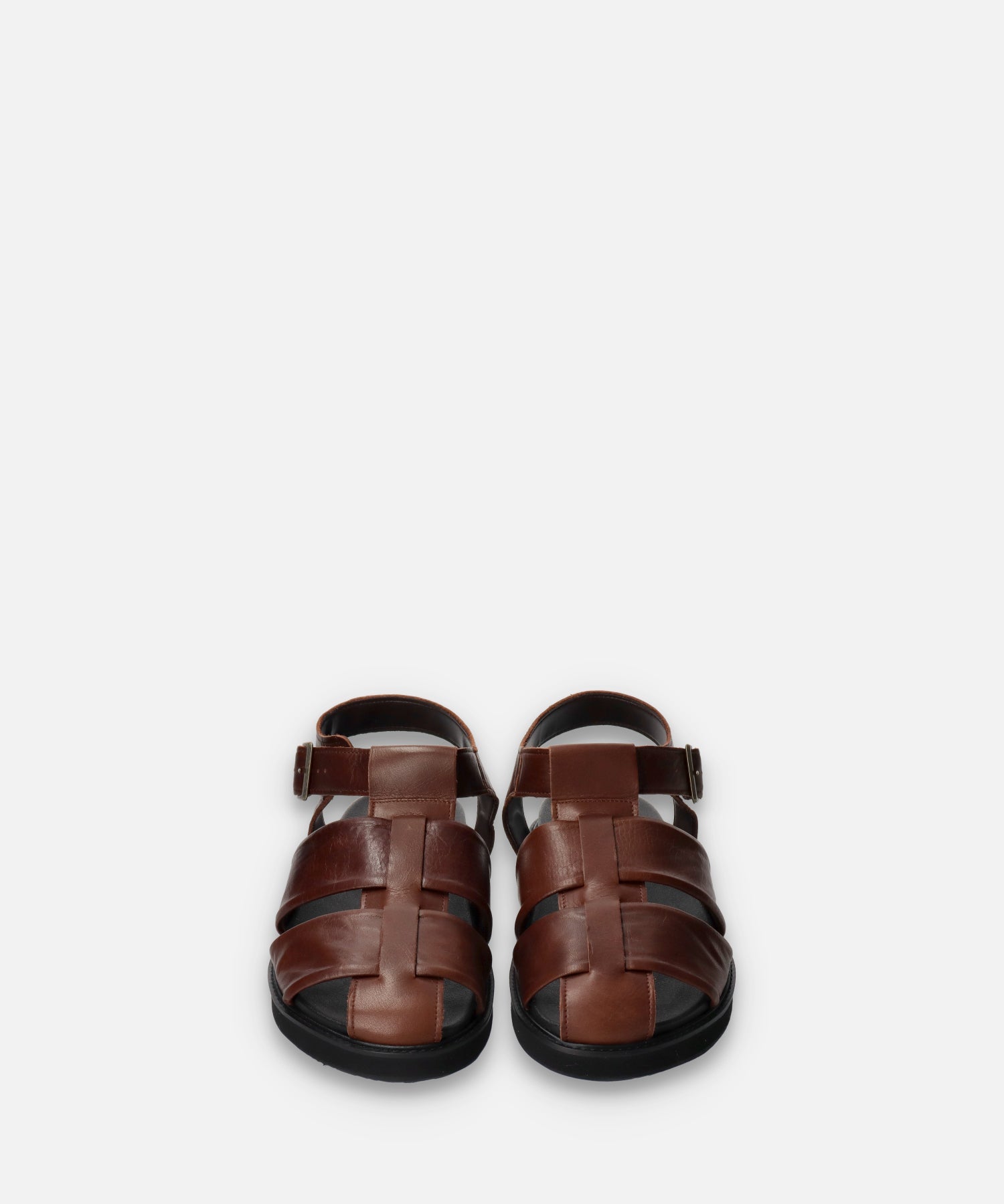 SP-1714 Brown - SPINGLE