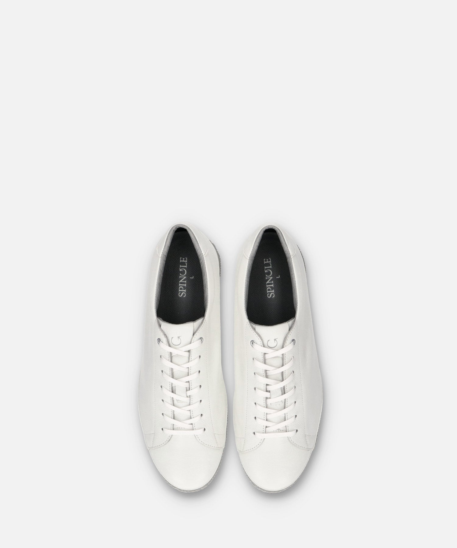 SP-6146 White - SPINGLE