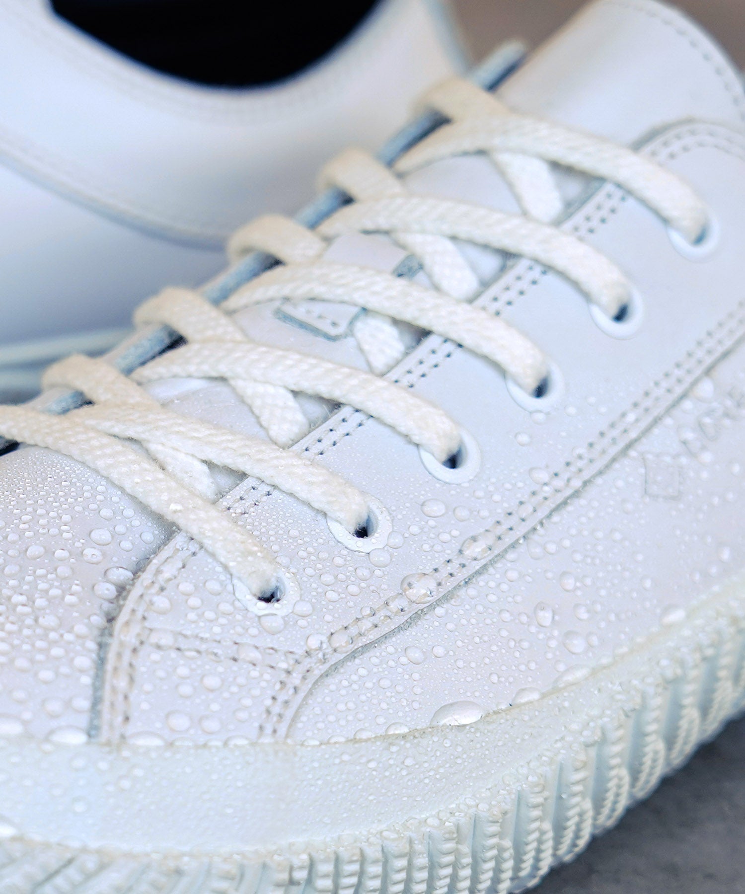 SP-619 Shiro - SPINGLE