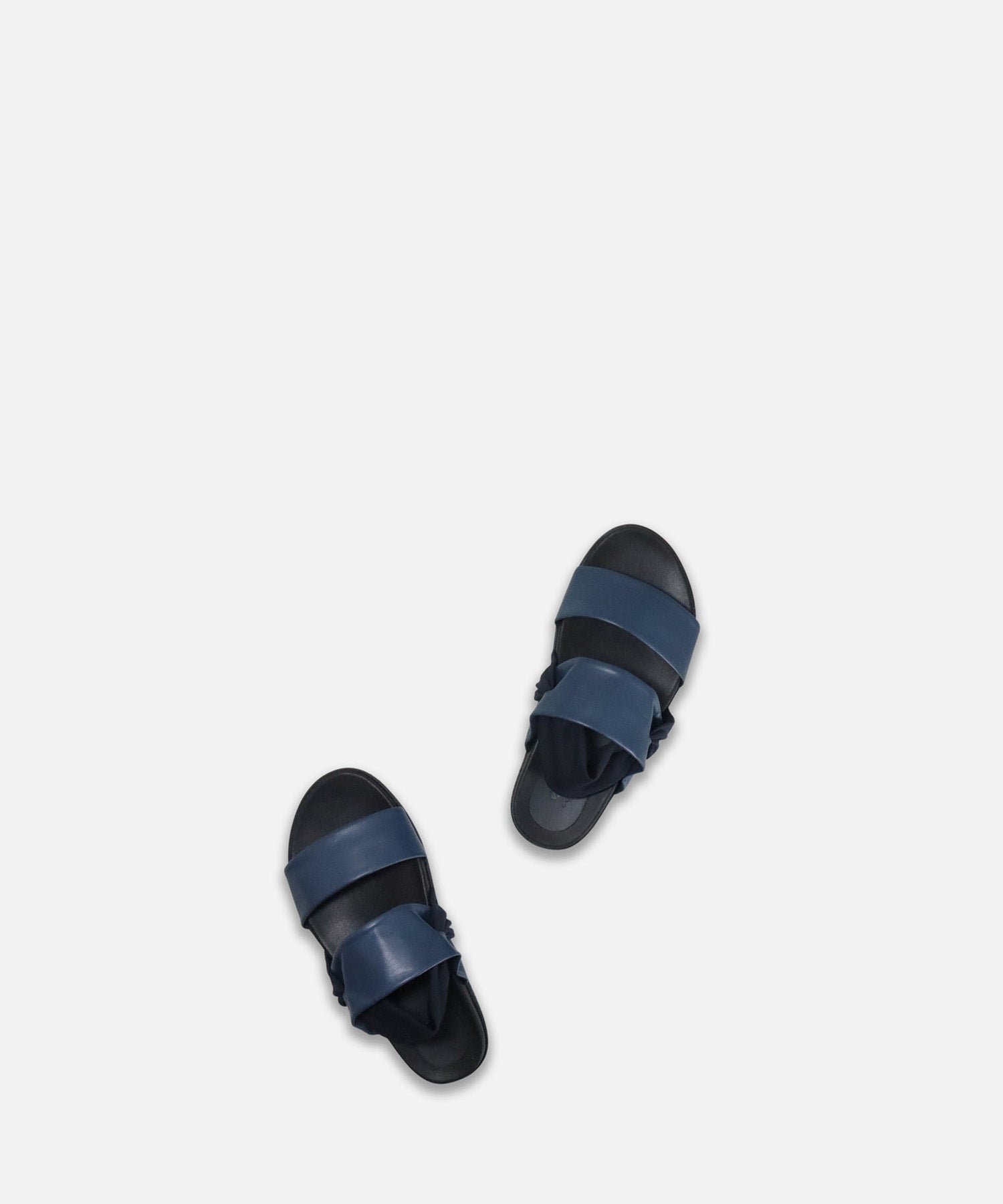 SPM-1707 Navy - SPINGLE