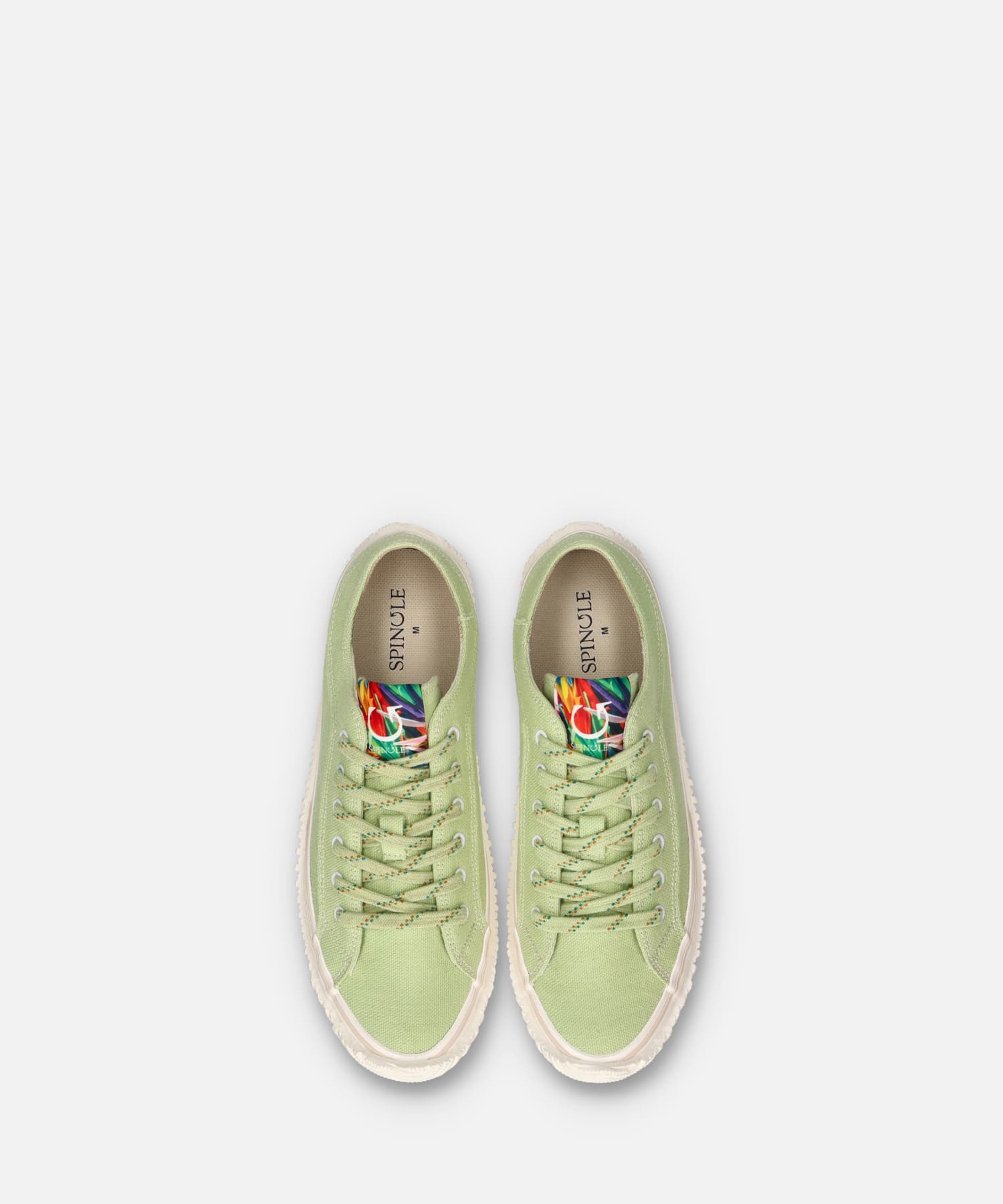 SP-1005D Asamidori - SPINGLE