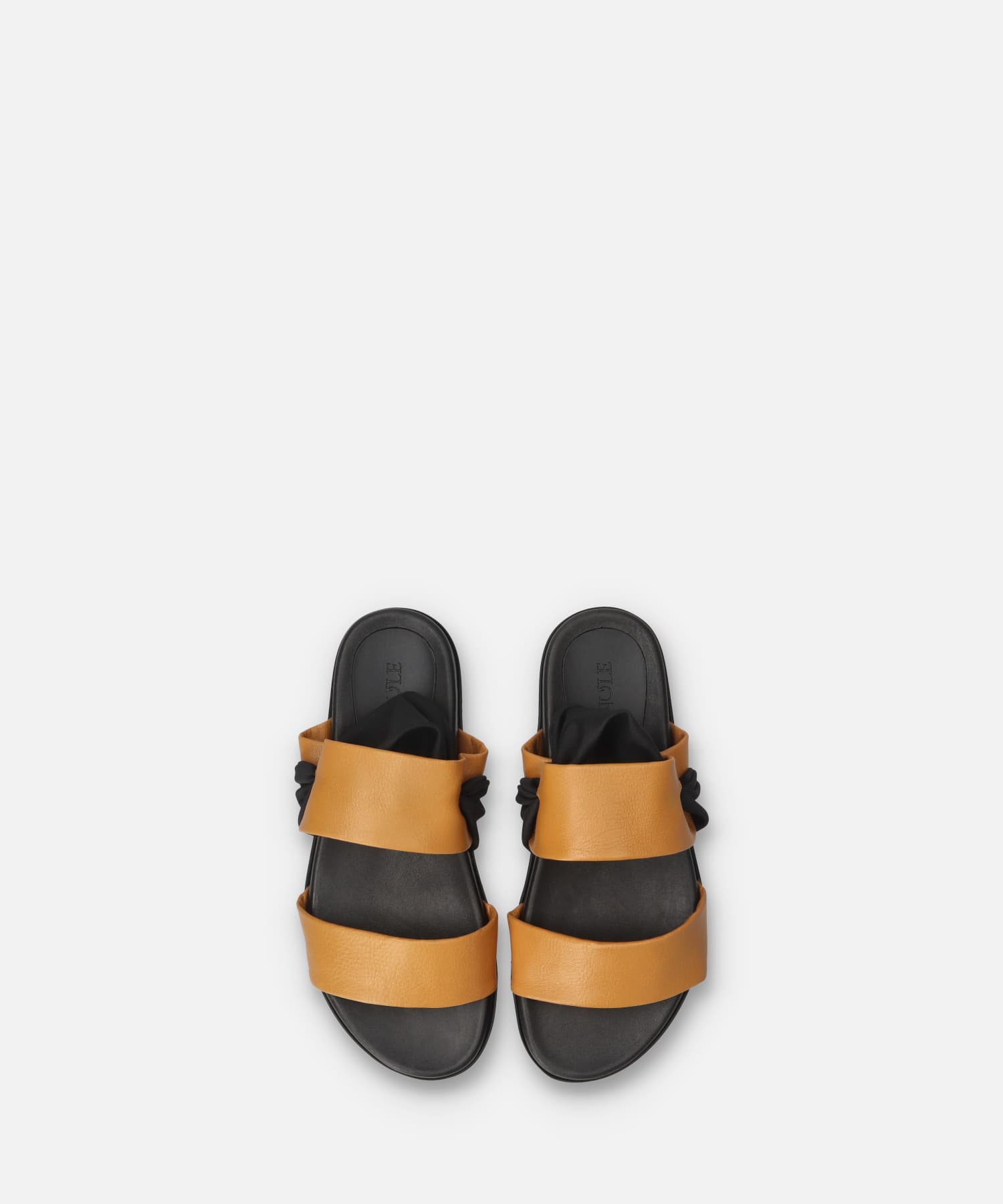 SP-1723 Camel