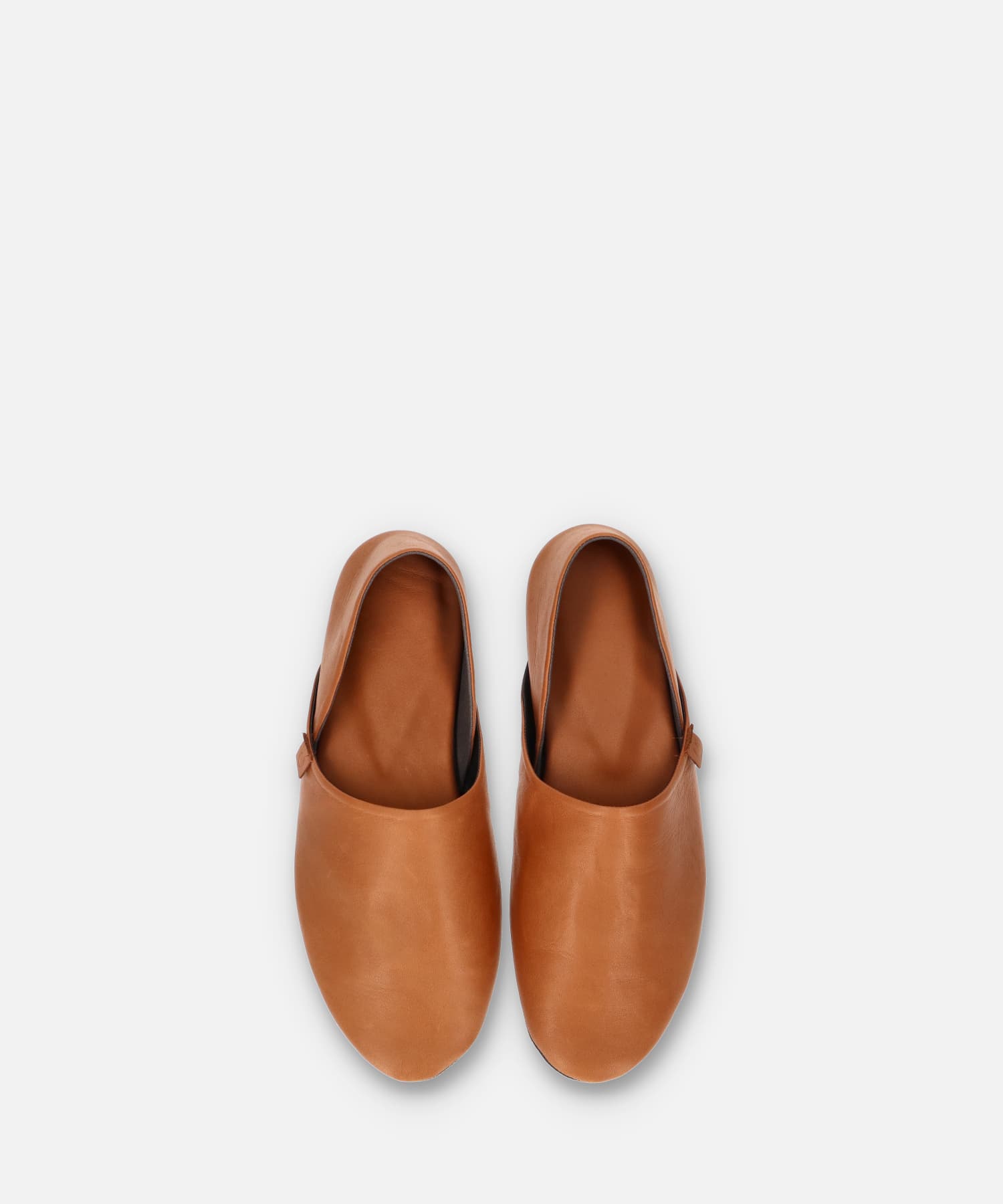 SP-1781 Camel - SPINGLE